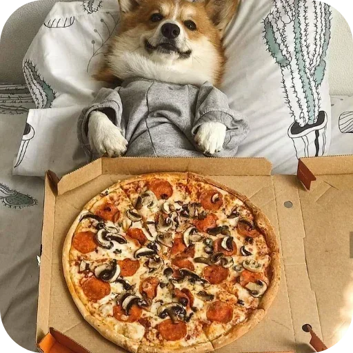 Стикер 🐶 из набора Больше стиков тут: