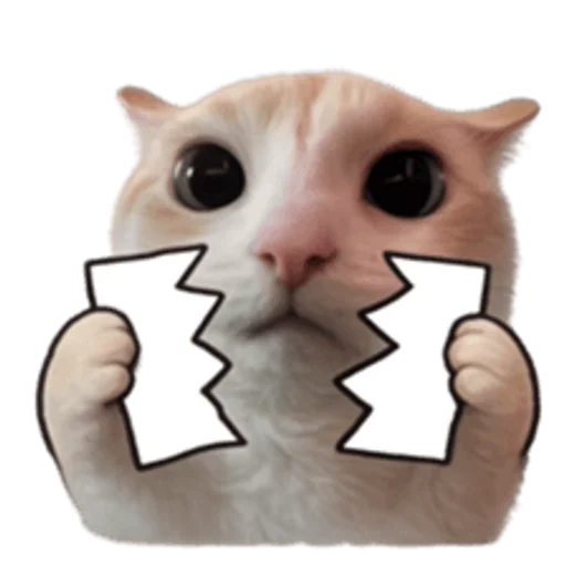 sillygoofycat