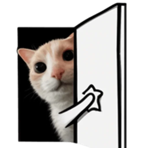 sillygoofycat