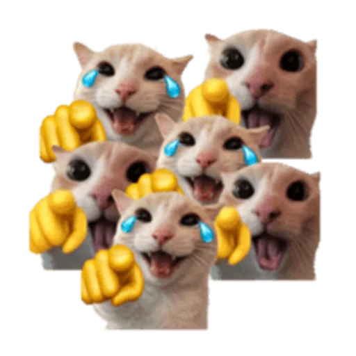 sillygoofycat