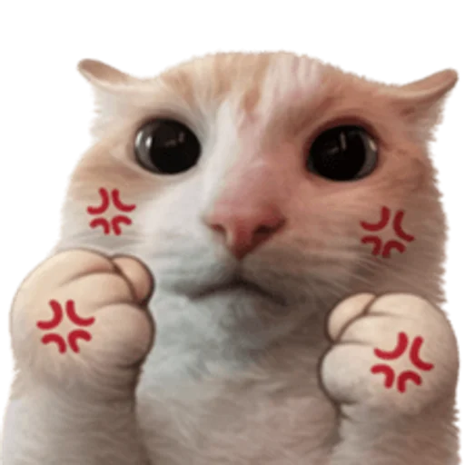 Стикер 🤩 из набора sillygoofycat