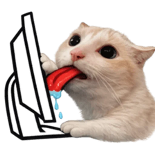 Стикер 🤩 из набора sillygoofycat