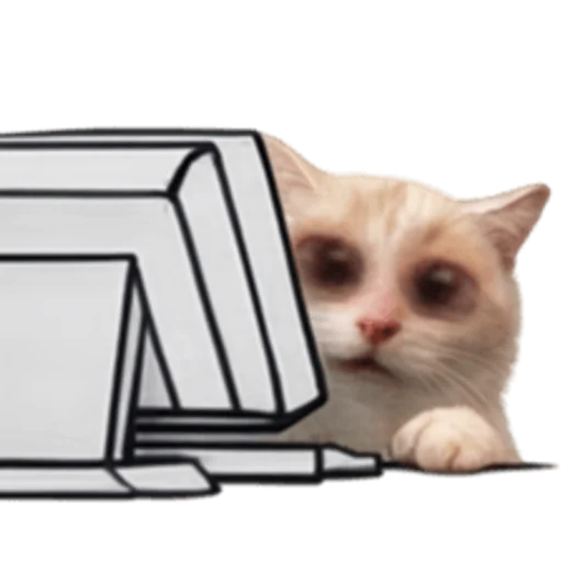 Стикер 🤩 из набора sillygoofycat