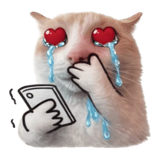 Стикер 🤩 из набора sillygoofycat