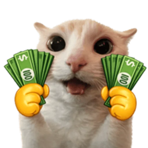Стикер 🤩 из набора sillygoofycat
