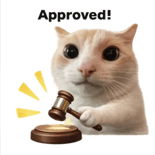 Стикер 🤩 из набора sillygoofycat