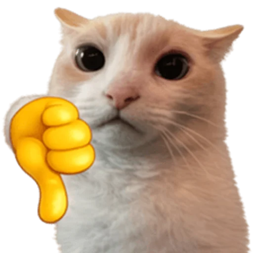 Стикер 🤩 из набора sillygoofycat