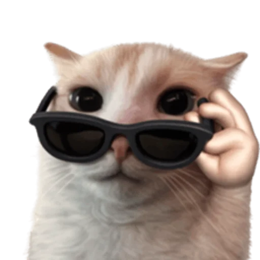 Стикер 🤩 из набора sillygoofycat