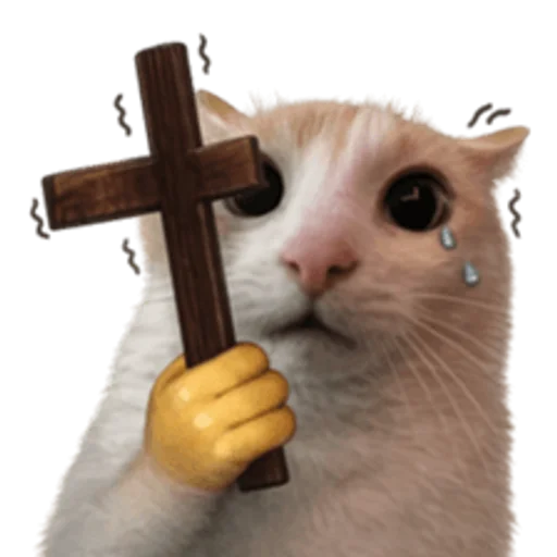 Стикер 🤩 из набора sillygoofycat