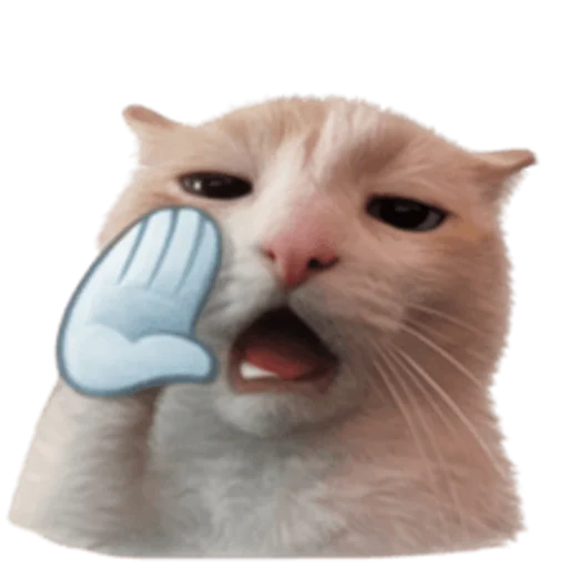 Стикер 🤩 из набора sillygoofycat