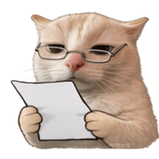 Стикер 🤩 из набора sillygoofycat