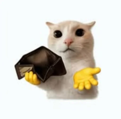 Стикер 🤩 из набора sillygoofycat