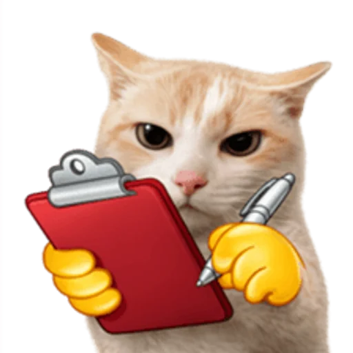 Стикер 🤩 из набора sillygoofycat