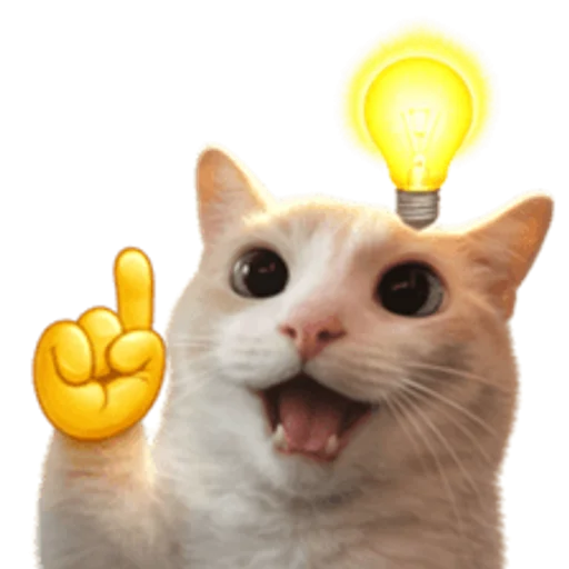 Стикер 🤩 из набора sillygoofycat