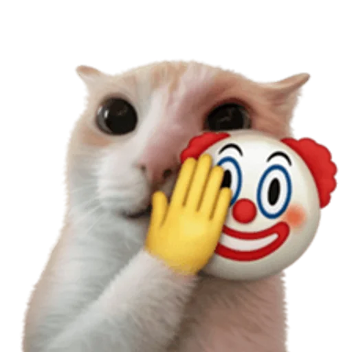 Стикер 🤩 из набора sillygoofycat