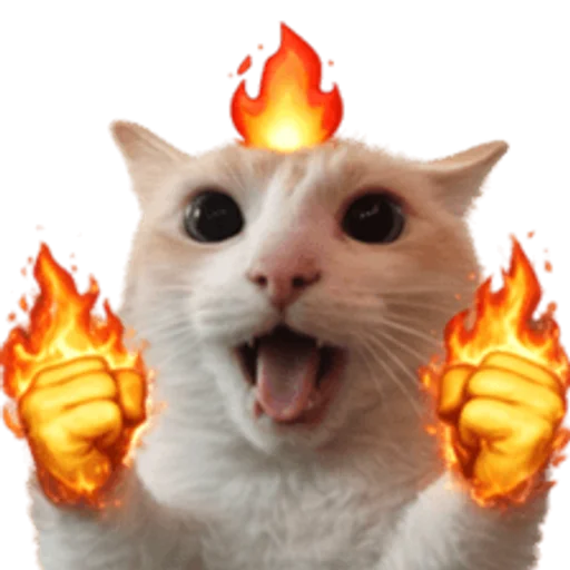Стикер 🤩 из набора sillygoofycat