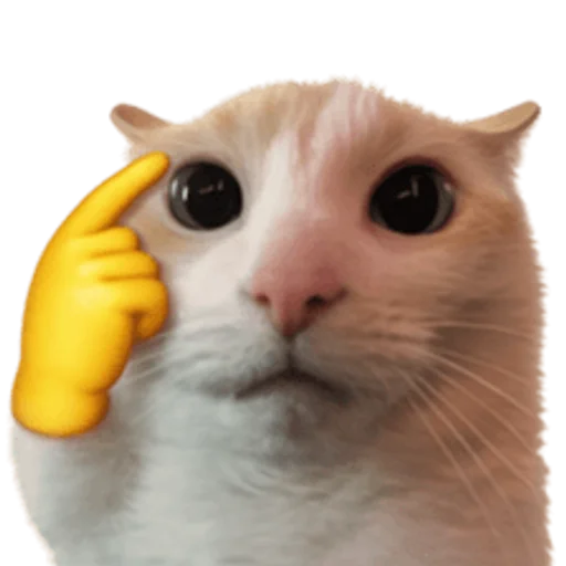 Стикер 🤩 из набора sillygoofycat