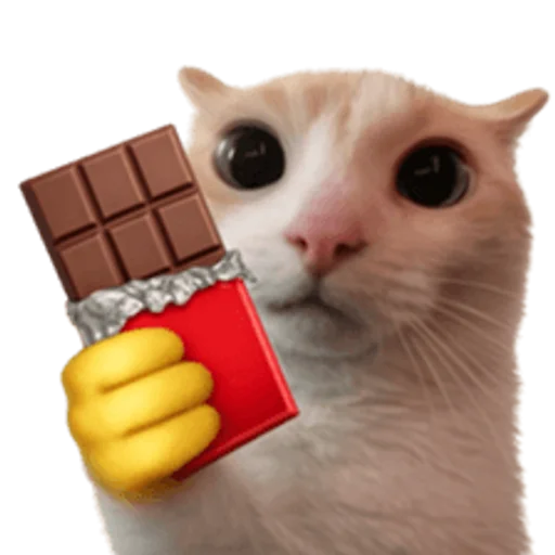 Стикер 🤩 из набора sillygoofycat