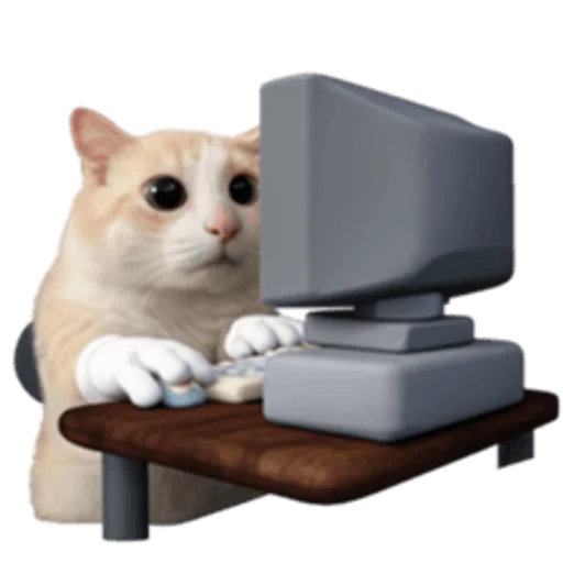 Стикер 🤩 из набора sillygoofycat