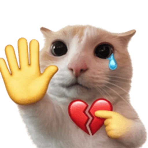 Стикер 🤩 из набора sillygoofycat