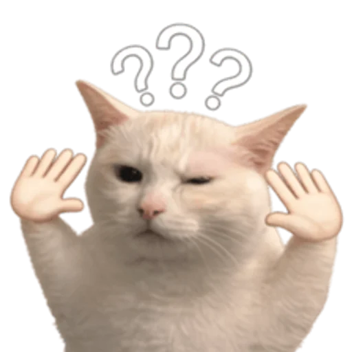 Стикер 🤩 из набора sillygoofycat