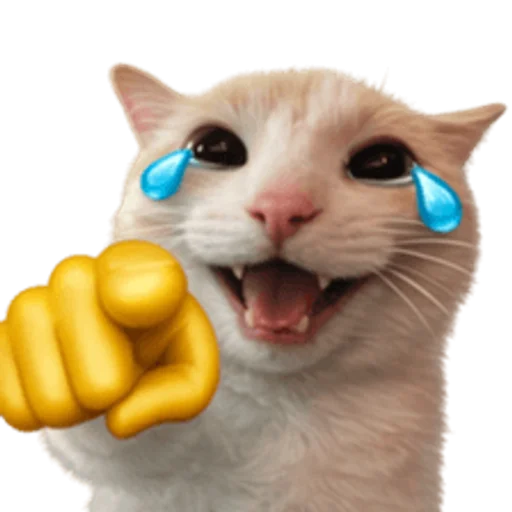 Стикер 🤩 из набора sillygoofycat
