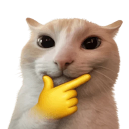 Стикер 🤩 из набора sillygoofycat