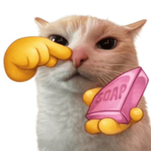 Стикер 🤩 из набора sillygoofycat