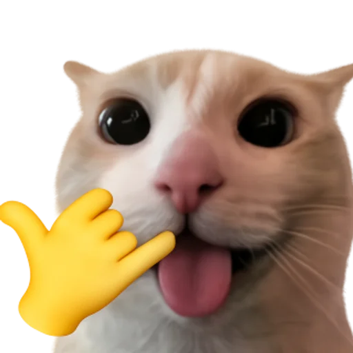 Стикер 🤩 из набора sillygoofycat