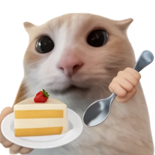 Стикер 🤩 из набора sillygoofycat