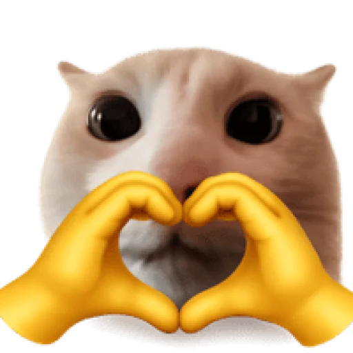 Стикер 🤩 из набора sillygoofycat
