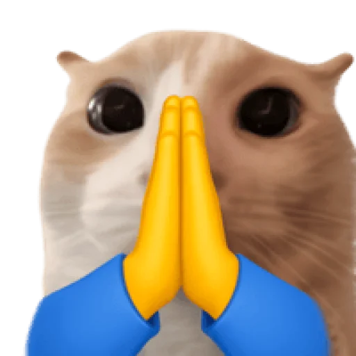 Стикер 🤩 из набора sillygoofycat
