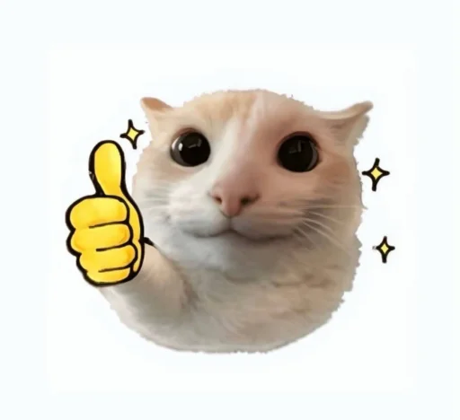 Стикер 🤩 из набора sillygoofycat