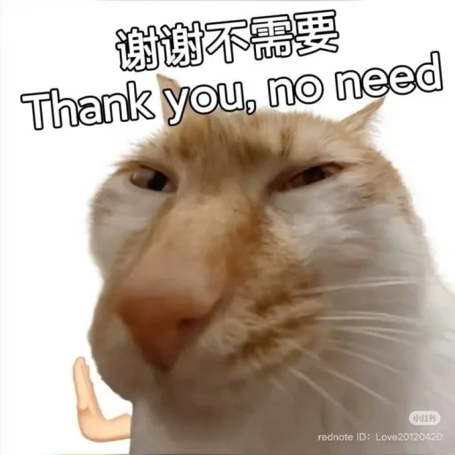 Стикер 🤩 из набора sillygoofycat