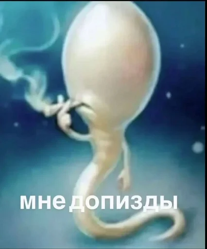 Смешные картинки кохи3