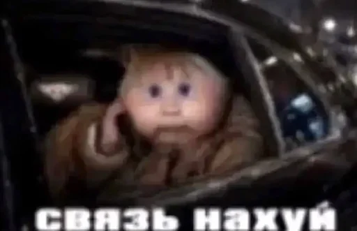 Смешные картинки кохи3