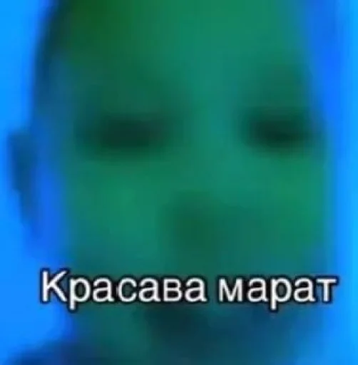Смешные картинки кохи3
