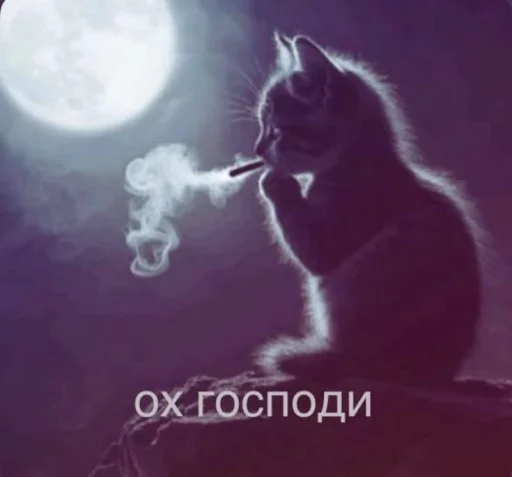Стикер 🤩 из набора Смешные картинки кохи3