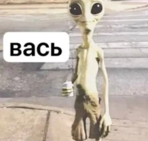 Стикер 🤩 из набора Смешные картинки кохи3