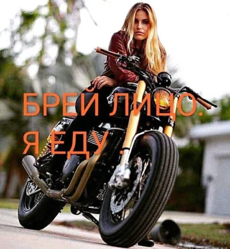 Стикер 🤩 из набора Смешные картинки кохи3