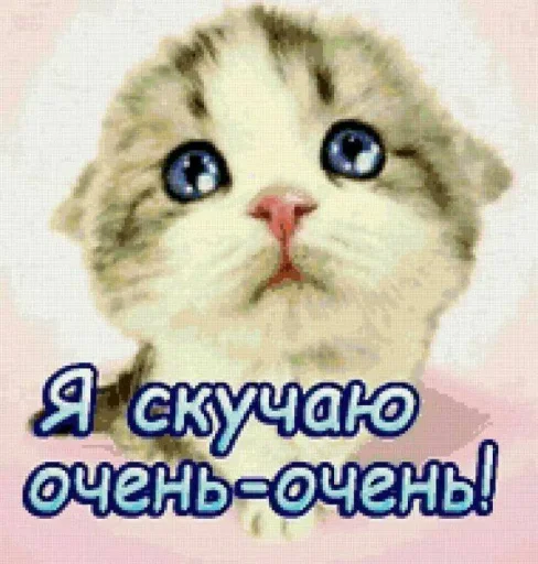 Стикер 🤩 из набора Смешные картинки кохи3