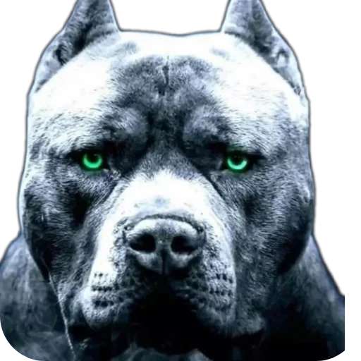 Стикер 🐶 из набора Свои стики