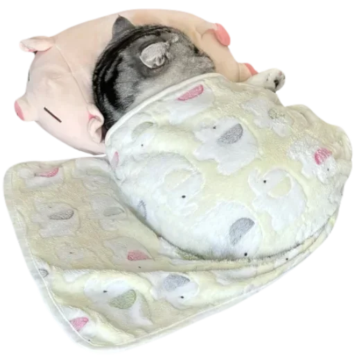 Стикер 💤 из набора >-< тгк -