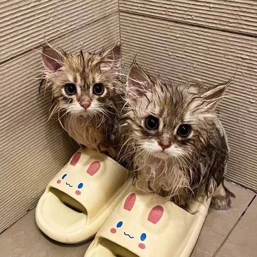 Стикер 🥺 из набора >-< тгк -