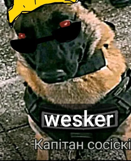 Стикер 🤩 из набора wes kerrr