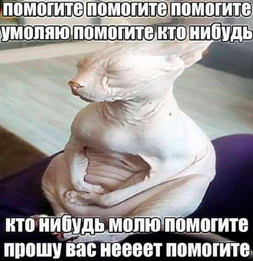 Стикер 🤩 из набора wes kerrr