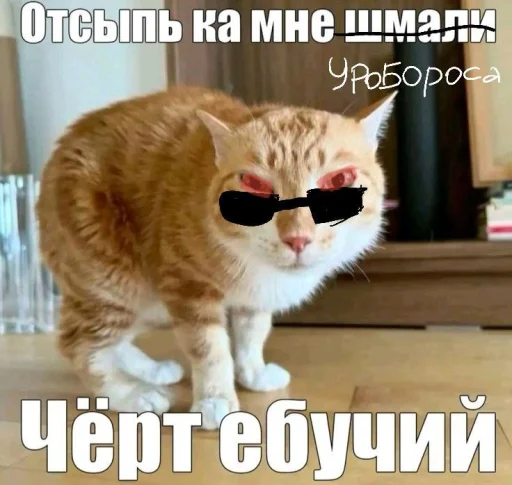 Стикер 🤩 из набора wes kerrr