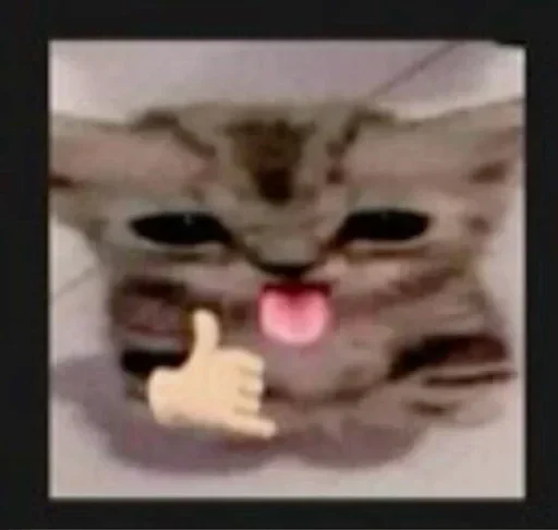 Стикер 🤙 из набора 