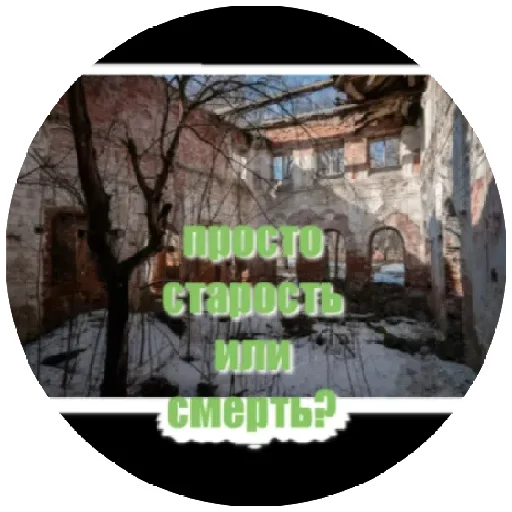 Заброщка.