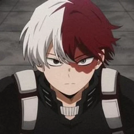 Shoto Todoroki